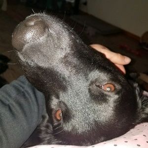 Meet your Posher, Cory